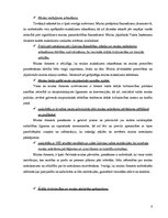 Referāts 'Latvijas Republikas muita, tās uzdevumi un funkcijas', 5.