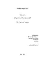 Biznesa plāns 'SIA "Agariceja"', 1.