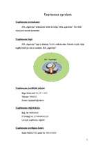 Biznesa plāns 'SIA "Agariceja"', 5.