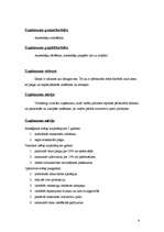 Biznesa plāns 'SIA "Agariceja"', 6.