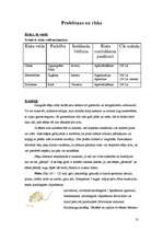 Biznesa plāns 'SIA "Agariceja"', 21.