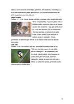 Biznesa plāns 'SIA "Agariceja"', 22.