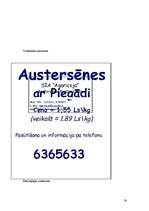 Biznesa plāns 'SIA "Agariceja"', 26.