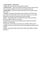 Paraugs 'Nometnes pāns', 2.