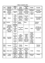 Paraugs 'Nometnes pāns', 4.