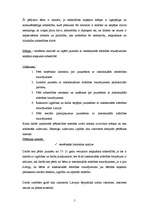 Referāts 'Jauniešu ar intelektuālās attīstības traucējumiem iekļaušana sabiedrībā', 4.