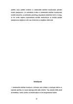 Referāts 'Jauniešu ar intelektuālās attīstības traucējumiem iekļaušana sabiedrībā', 28.