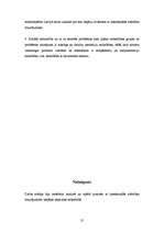 Referāts 'Jauniešu ar intelektuālās attīstības traucējumiem iekļaušana sabiedrībā', 30.