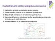 Prezentācija 'Karšu veidi', 10.