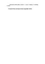 Konspekts 'Intelektuālā īpašuma tiesības', 19.