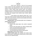 Referāts 'Naudas plūsmas plānošana', 3.