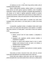 Referāts 'Naudas plūsmas plānošana', 10.