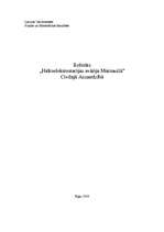 Referāts 'Hidroelektrostacijas avārija Mūrmuižā', 1.