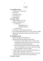 Referāts 'Pieci vārdi valodas sistēmā', 8.