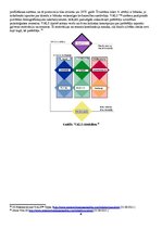 Konspekts 'Pircēju rīcības modelis', 6.