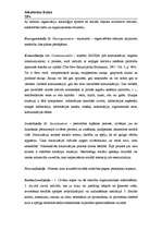 Konspekts 'Terminu atšifrējums socioloģijā', 4.