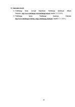 Referāts 'Latvijas Republikas Tiesībsargs un tā loma cilvēktiesību aizsardzībā', 19.