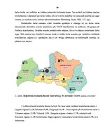 Referāts 'Darba alga un tās noteicošie faktori', 14.