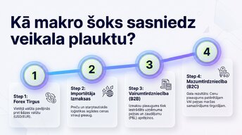 Prezentācija 'Valūtas kursu svārstības un importēto preču cenas', 5.