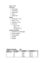 Biznesa plāns 'Projekts mūzikas terapijas istabas izveidei', 3.