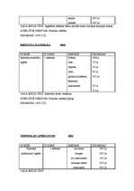 Biznesa plāns 'Projekts mūzikas terapijas istabas izveidei', 4.