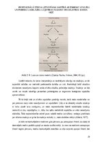 Diplomdarbs 'Profesionālā stresa uztveršana saistībā ar psihisko veselību un psihisko labklāj', 29.