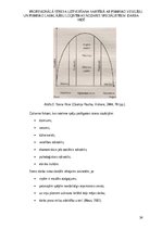 Diplomdarbs 'Profesionālā stresa uztveršana saistībā ar psihisko veselību un psihisko labklāj', 34.