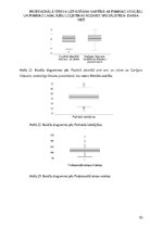 Diplomdarbs 'Profesionālā stresa uztveršana saistībā ar psihisko veselību un psihisko labklāj', 93.