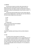 Referāts 'Tekstīlijas viesnīcas interjerā', 5.