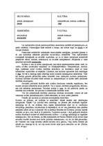 Referāts 'Kultūrpolitika Latvijā Eiropas un pasaules kontekstā', 3.