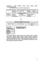 Referāts 'Kultūrpolitika Latvijā Eiropas un pasaules kontekstā', 8.