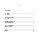 Referāts 'Angļu valodas ietekme uz jauniešu valodu ikdienā', 2.