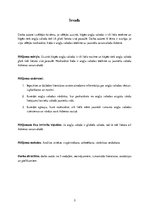 Referāts 'Angļu valodas ietekme uz jauniešu valodu ikdienā', 3.