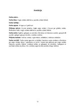 Referāts 'Angļu valodas ietekme uz jauniešu valodu ikdienā', 13.