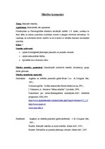 Konspekts 'Mācību stundas konspekts veselības mācībā', 2.