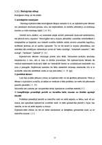 Diplomdarbs 'Hiperaktivitātes korekcijas iespējas pirmsskolas izglītības iestādē', 13.