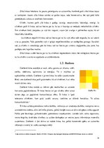 Referāts 'Krāsu psiholoģiskā ietekme uz pusaudžiem', 14.