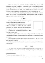 Referāts 'Krāsu psiholoģiskā ietekme uz pusaudžiem', 20.