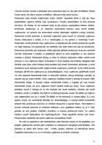 Referāts 'Uzņēmuma "X" mārketinga stratēģijas izpēte', 17.