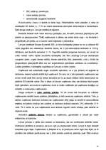 Referāts 'Uzņēmuma "X" mārketinga stratēģijas izpēte', 25.