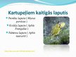 Prezentācija 'Laputis (Aphididae)', 10.