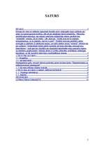 Referāts 'Teodora Adorno darba "Esejas mūzikā" analīze', 2.