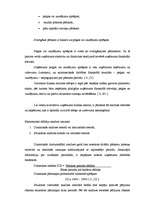 Referāts 'Finanšu riska novērtējums SIA A', 3.