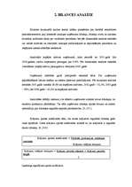 Referāts 'Finanšu riska novērtējums SIA A', 6.