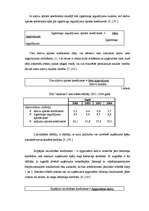 Referāts 'Finanšu riska novērtējums SIA A', 7.