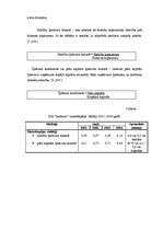 Referāts 'Finanšu riska novērtējums SIA A', 9.