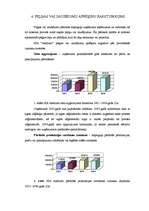 Referāts 'Finanšu riska novērtējums SIA A', 12.