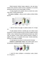 Referāts 'Finanšu riska novērtējums SIA A', 13.