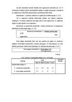 Referāts 'Finanšu riska novērtējums SIA A', 16.