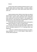 Referāts 'Finanšu riska novērtējums SIA A', 17.